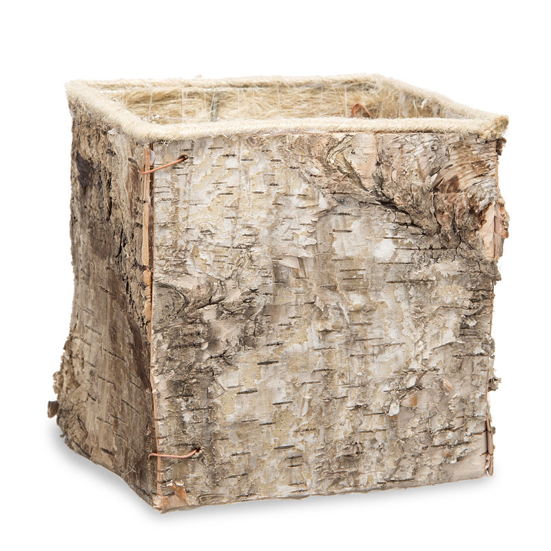 Millwood Pines Stukes Square Birch Bark Planter Box & Reviews Wayfair